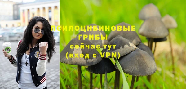 ешки Нея