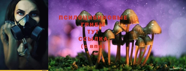 ешки Нея