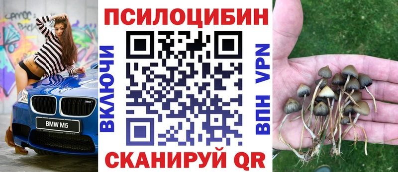hydra зеркало Переславль-Залесский Псилоцибиновые грибы GOLDEN TEACHER