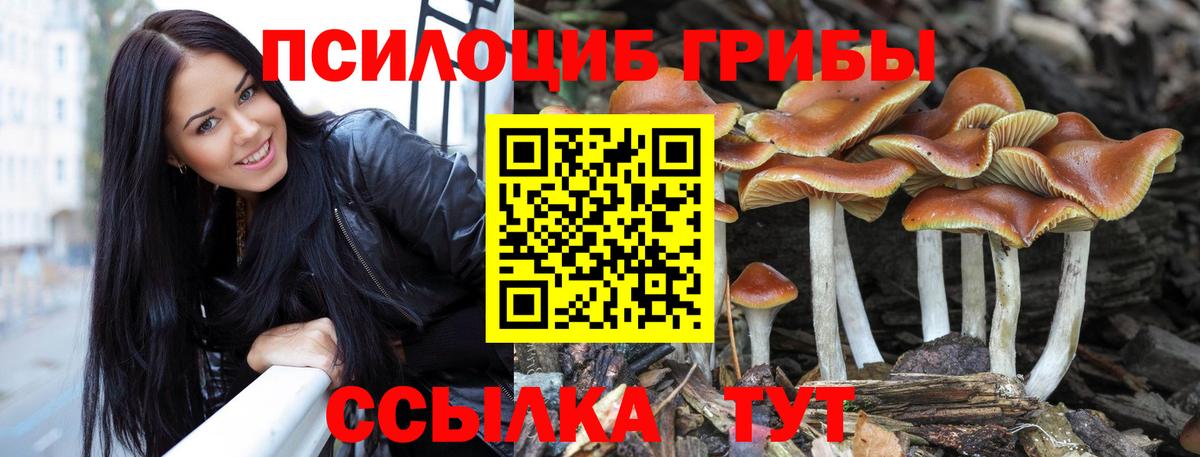 Псилоцибиновые грибы Cubensis  Вход с VPN  Переславль-Залесский 