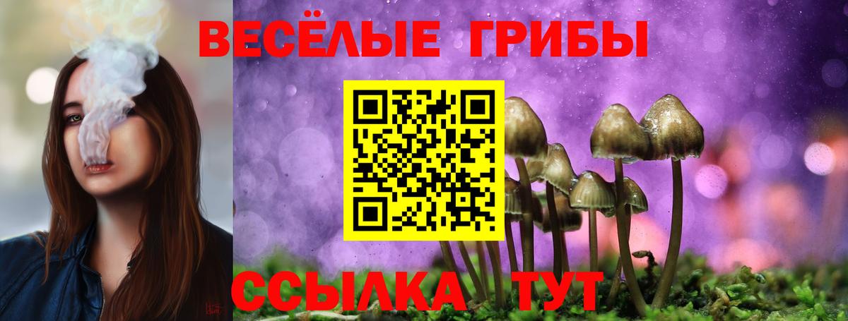 Псилоцибиновые грибы прущие грибы Переславль-Залесский